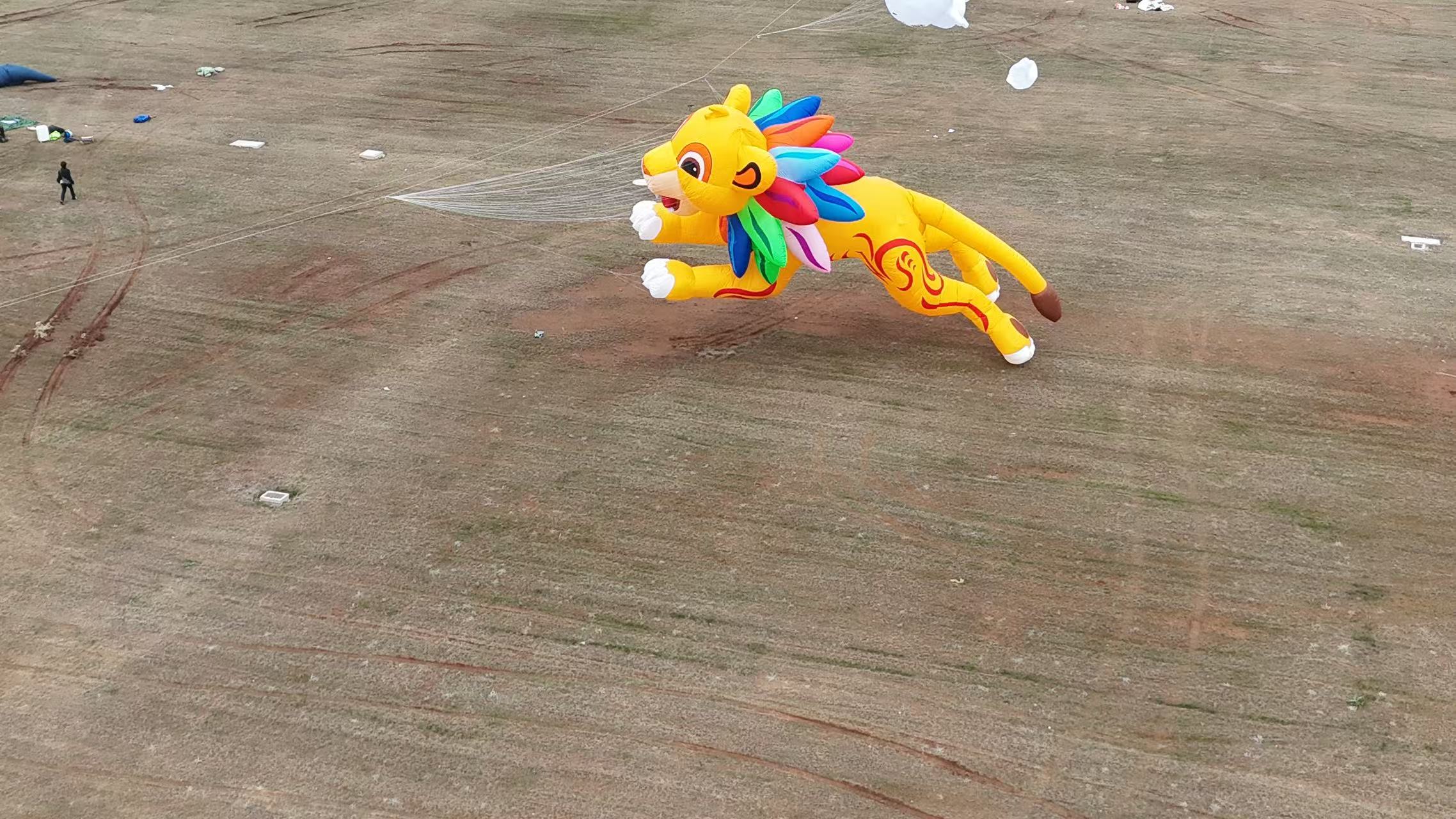 韶关市品牌风筝定制宣传风筝定制 - 厂家